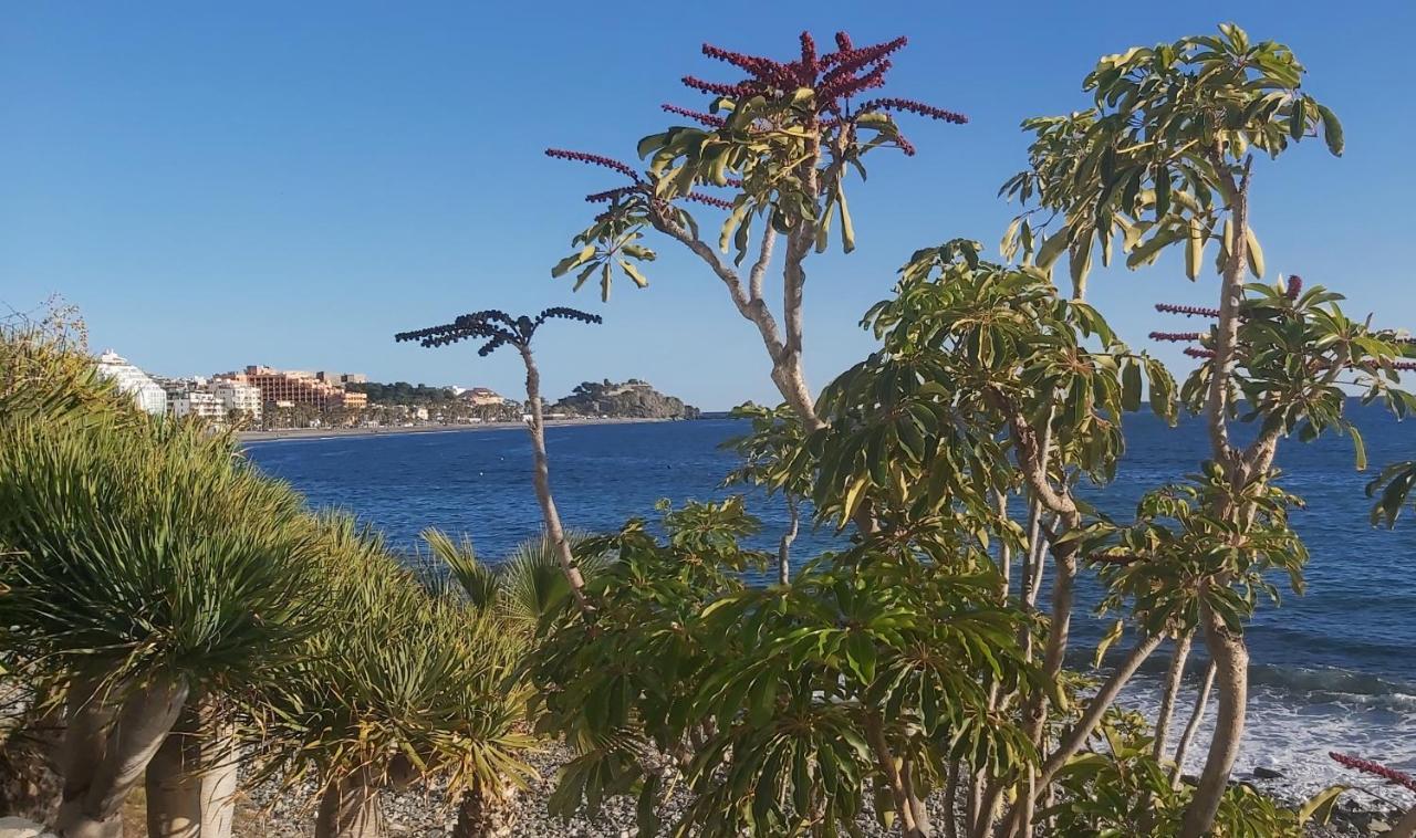 Rincon De Mar Apartman Almuñécar Kültér fotó